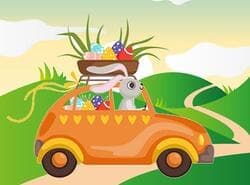 Conejitos Que Conducen Coches Partido 3