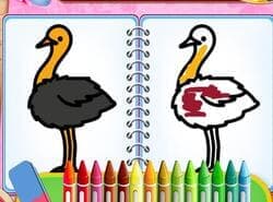 Juego De Pájaros Colorantes