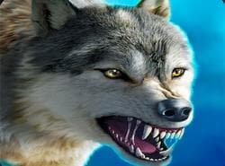 Rompecabezas De Francotirador Cazador De Zorros