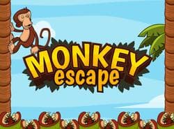 Escape De Monos