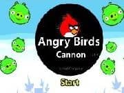 Angry Birds Cañon