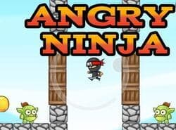 Ninja Enojado