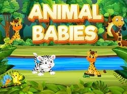 Bebés Animales
