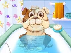 Juegos De Guardería De Animales