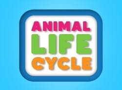 Ciclo De Vida Animal