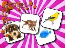 Memoria De Los Animales