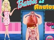 Barbie at Anatomy