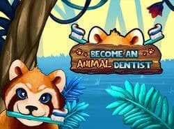 Convertirse En Un Dentista De Animales