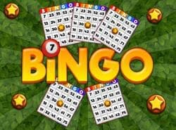 Revelador De Bingo