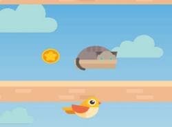 Salto De Plataforma De Aves