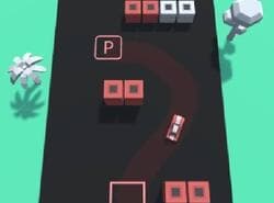 Profesional Del Aparcamiento De Coches