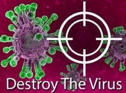 Destruir El Virus