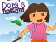 Dora Box Delivery