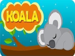 Por Ejemplo Koala