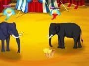 Elefantes de Circo