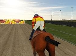 Carreras De Equitación