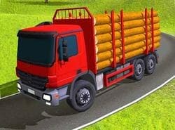 Simulador De Camión Indio 3D