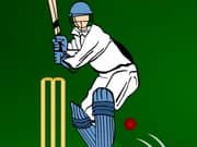Ipl Cricket 2012