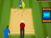Ipl Cricket 2013