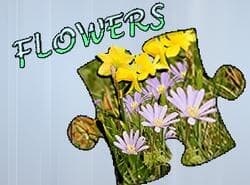 Rompecabezas: Flores