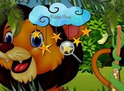 Estrellas Ocultas De La Selva