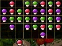 Rompecabezas De Setas