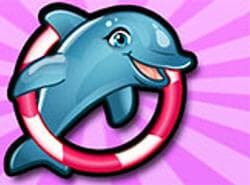 Mi Espectáculo De Delfines 6