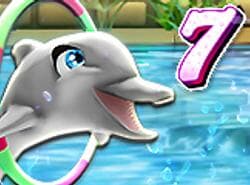 Mi Espectáculo De Delfines 7