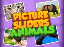 Imagen Slider Animales