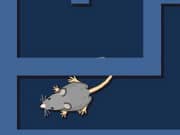 Rat Simulator Maze