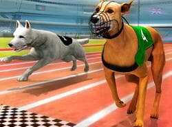 Simulador De Carreras De Perros Real 3D