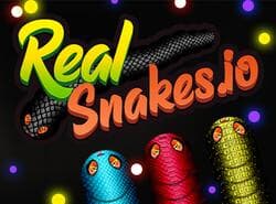 Snakes.Io Real