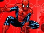 Spiderman Trivia