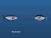 The Auto Tuna Fish