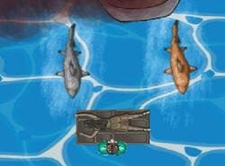 Ataques Titánicos De Tiburones