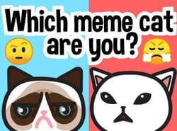 ¿Qué Gato Meme Eres?