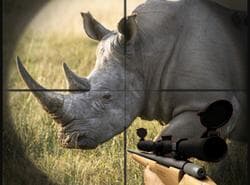 Cazador De Rinocerontes Salvajes